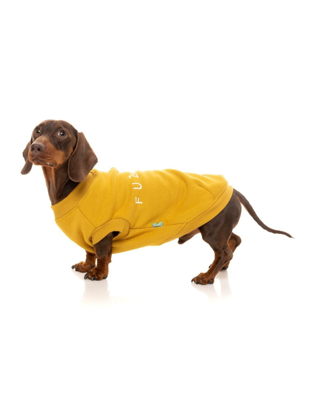 Mustard Hoodie