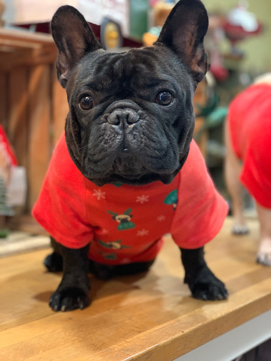 PugLove