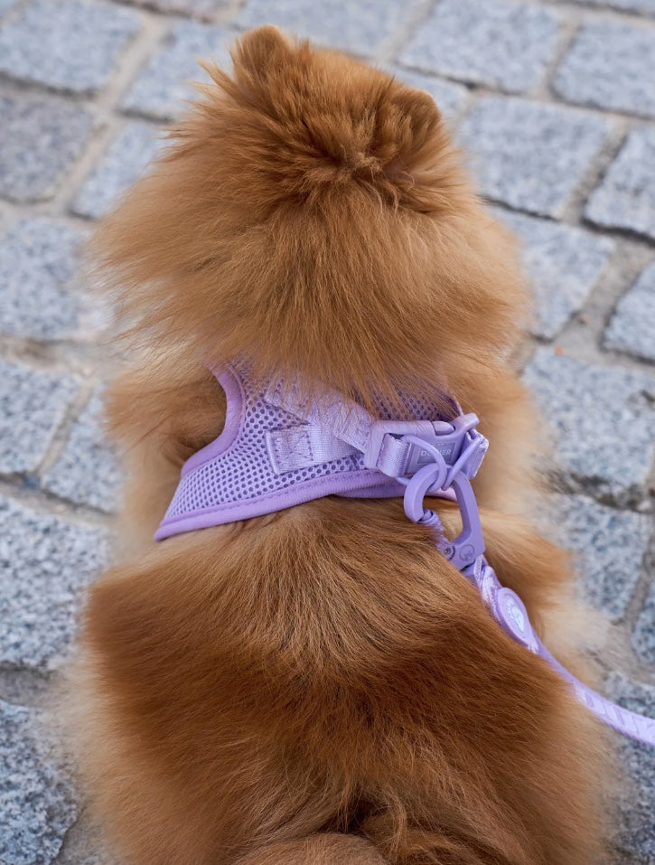 Violet