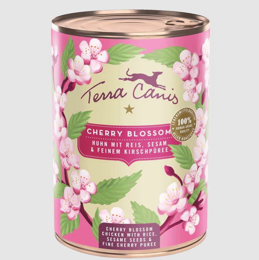 Flower Cherry Blossom