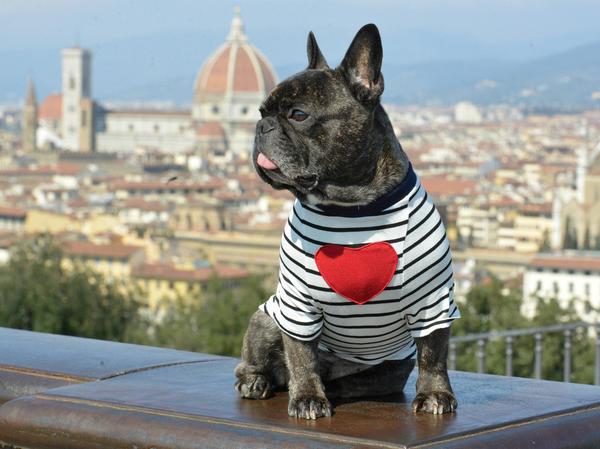 Florence